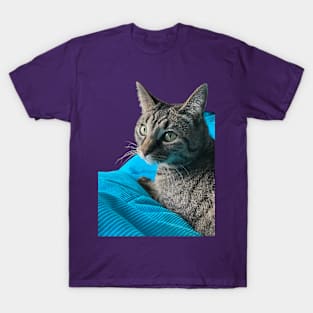 Cute Tabby with Blanket T-Shirt